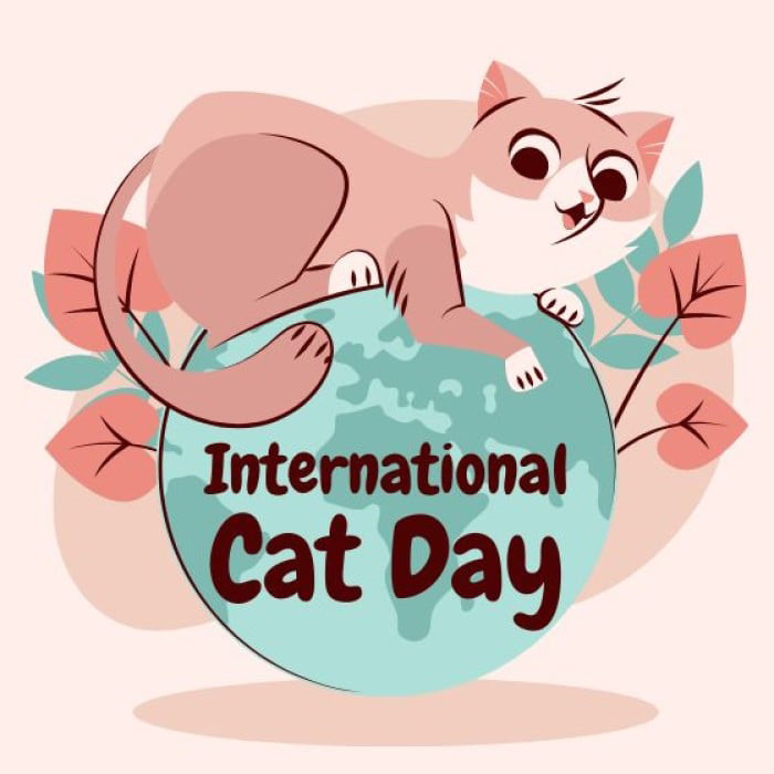 International Cat Day