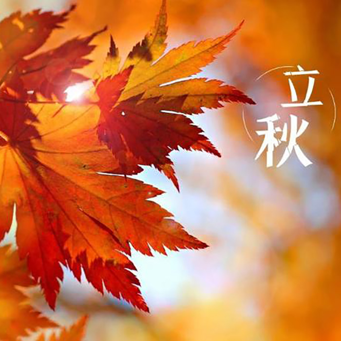 Fall Home Decor Ideas