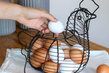 ?????? ????? ?????? ?????? ??? ??? ?????