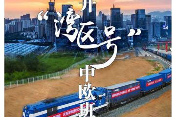 ???? ????? ?????? ????????