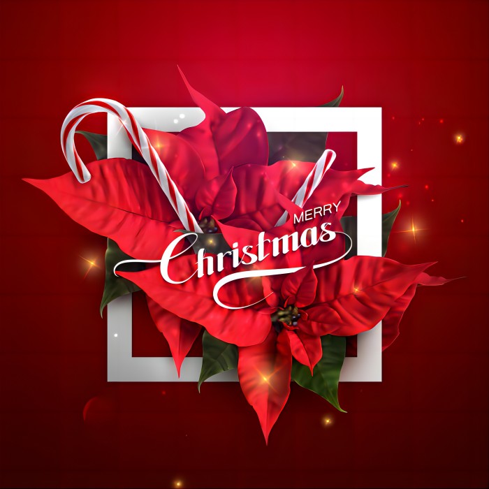 Home Iron Products at Christmas