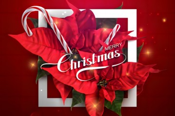 Home Iron Products at Christmas