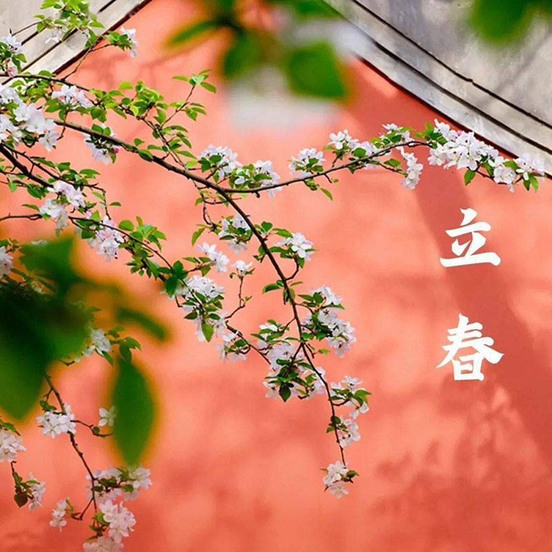 Embracing Spring: Traditional Chinese Culture in Contemporary Iron Home Designs