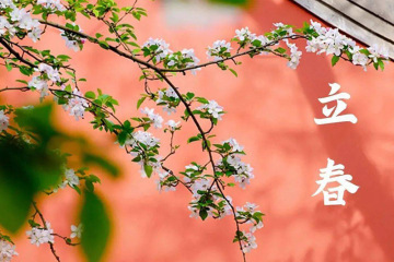 ?????? ??????: ??????? ??????? ????????? ?? ?????? ??????? ???????? ????????