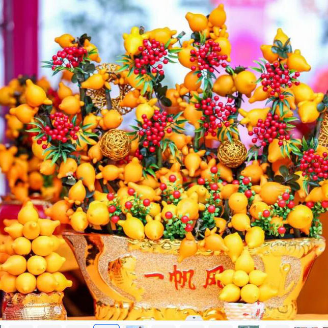 FOSHAN New Year's Taste - Spring Flower Carnival