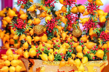 FOSHAN New Year's Taste - Spring Flower Carnival