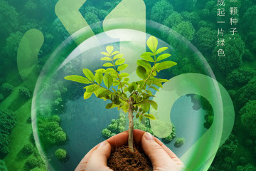 ????? ??????? ????? ?????? ----- 3.12 ??? ?????? ??????