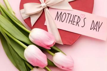 Embrace Mother's Day with Stylish and Functional iron wire household
