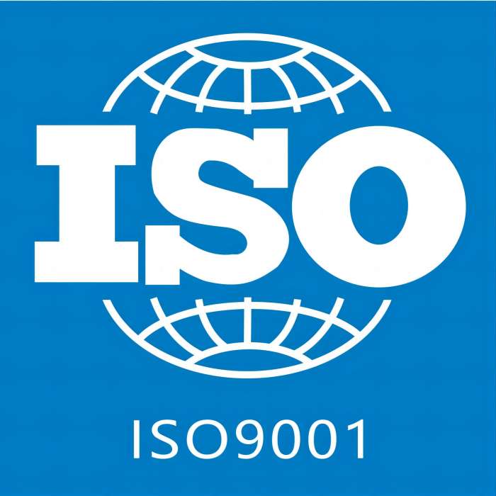 ISO 9001 annual audit