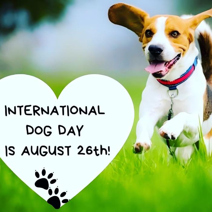 International Dog Day