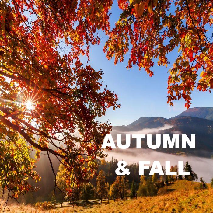 The Perfect Blend Of Ironwork And Fall Elements