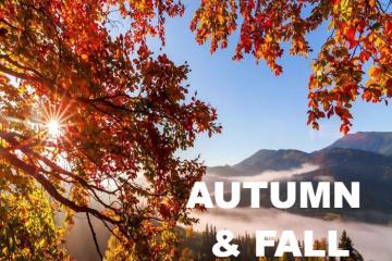 ?????? ??????? ??? ??????? ???????? ?????? ??????