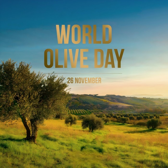 World Olive Tree Day: green cultural heritage and ecological symbols