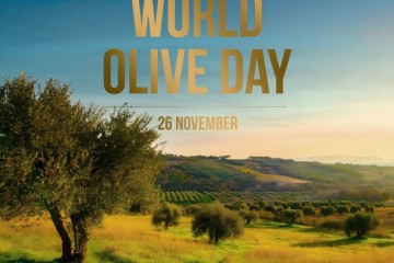 Az olajfa világnapja: z?ld kulturális ?r?kség és ?kológiai szimbólumok