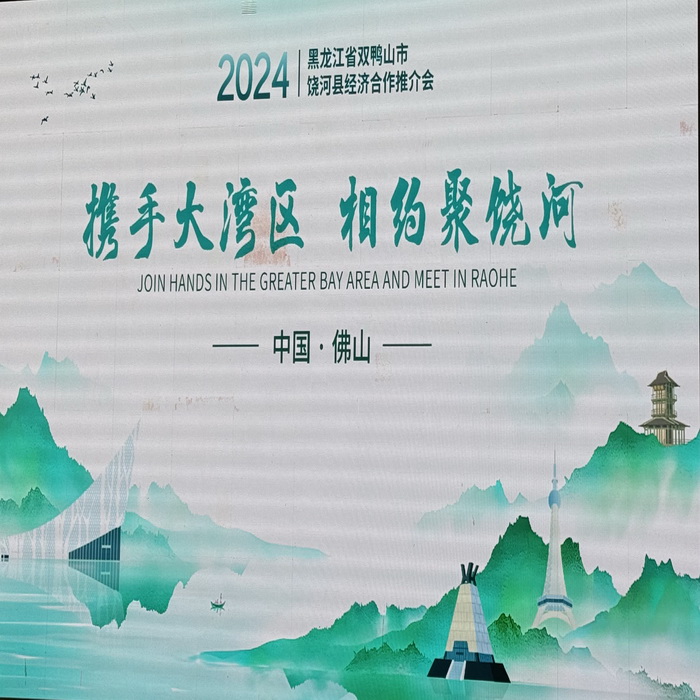 F.E.R Participates in Harbin Raohe County Economic Promotion Conference on November , 2024