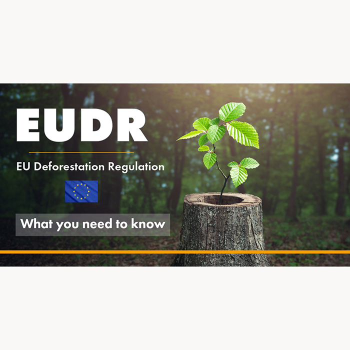 China's timber and household industry faces new challenges as EU implements zero-deforestation bill