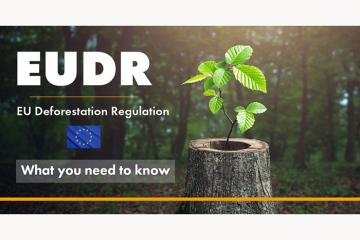 China's timber and household industry faces new challenges as EU implements zero-deforestation bill