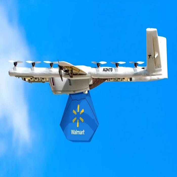 Walmart Accelerates Efforts to Attract New Customers and Younger Generations amid Concerns over Tariff Impact on Consumer Spending Fer House