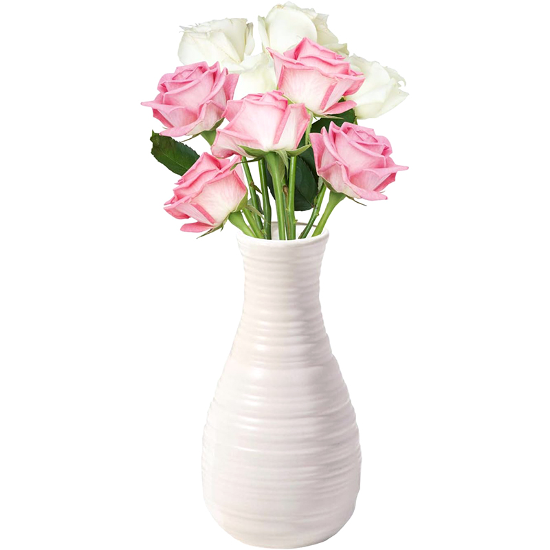 Tabletop Buffet Organizer Tabletop Buffet Organizer