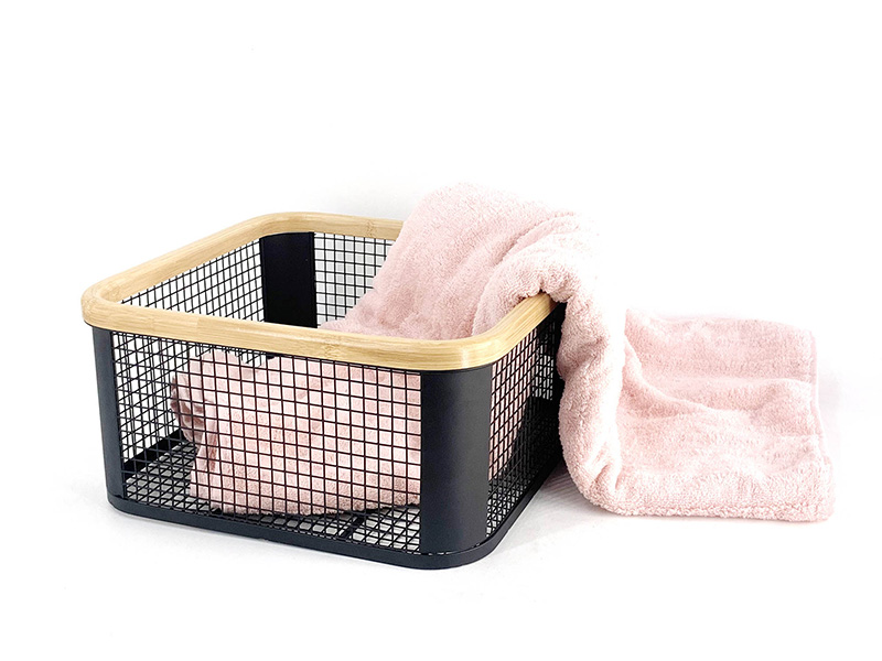 Decorative Storage Baskets Decorative Storage Baskets