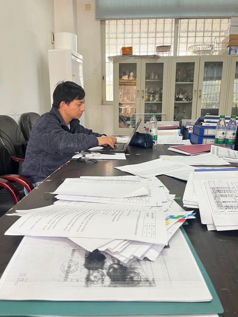 Powder Coated Wire Fruit Basket