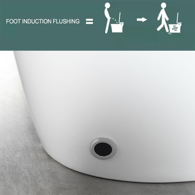 remote flushing intelligent toilet