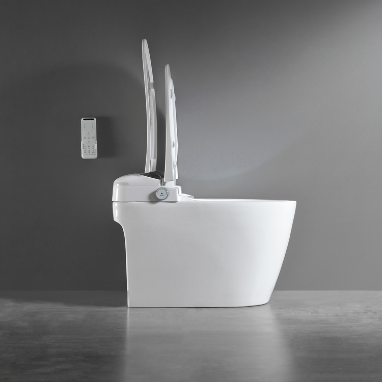 Luminous Lighting Foot Sensor Flip Toilet Smart Toilet