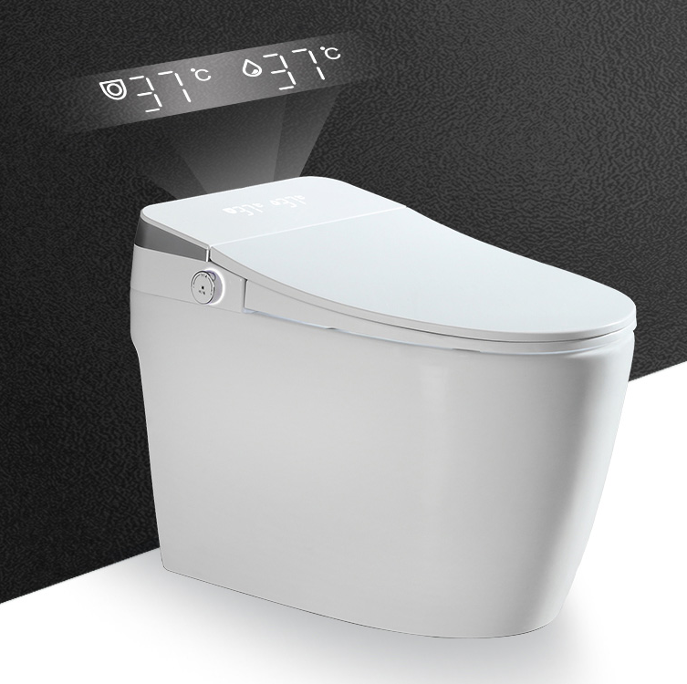 smart toilet bowl