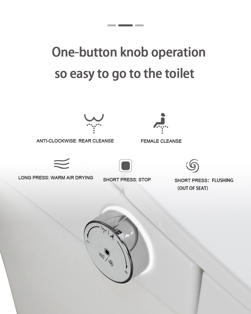 automatic smart toilet