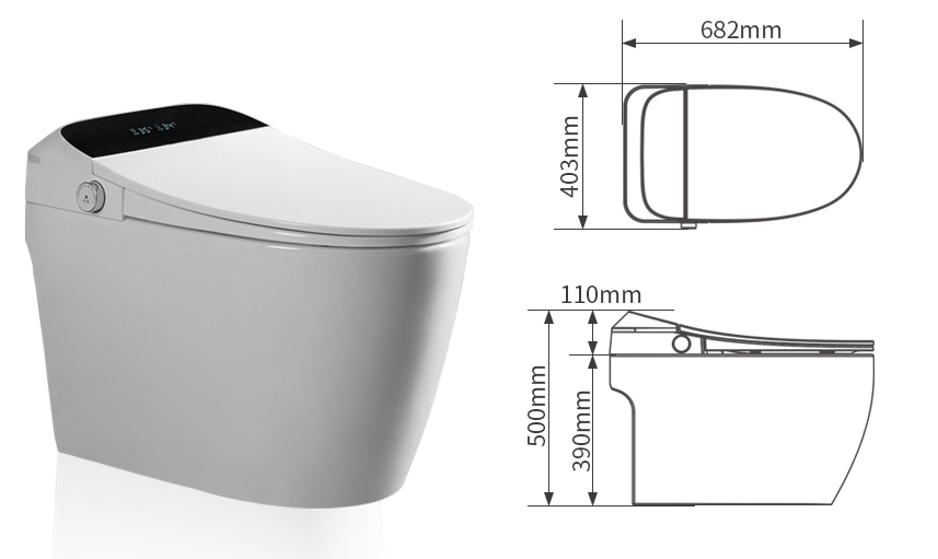 electric smart toilet