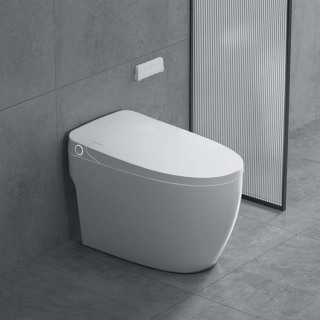 One Piece Instant Heating Auto Flush Smart Toilet