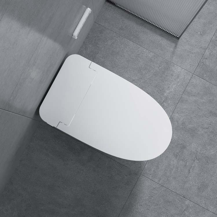 Einteilige intelligente Toilette mit sofortiger Heizung und automatischer Spülung