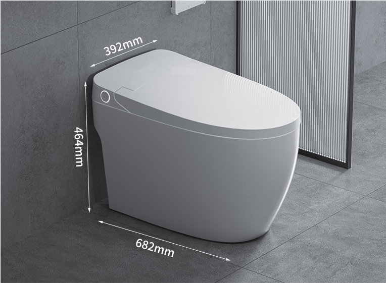 instant heating smart toilet