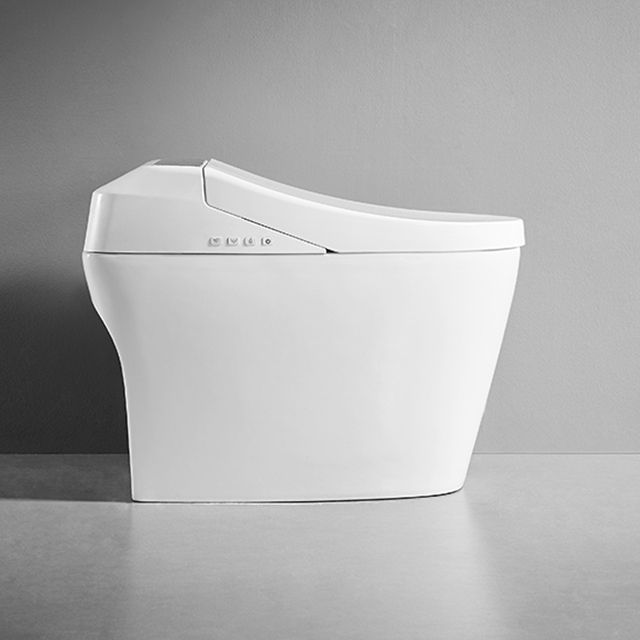 Bidé de inodoro inteligente para limpieza femenina automática de baño