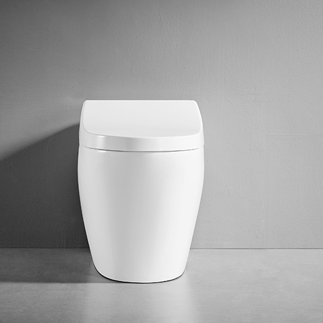 Bidé de inodoro inteligente para limpieza femenina automática de baño