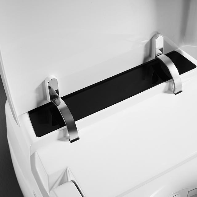 Bidé de inodoro inteligente para limpieza femenina automática de baño