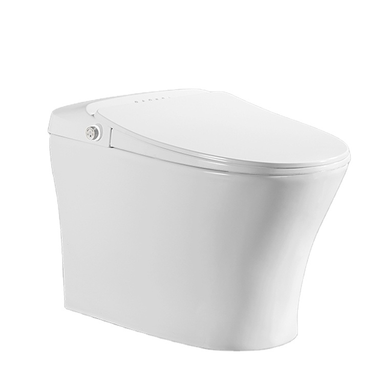 Luxuriöses Design, intelligente, selbstreinigende, intelligente Bidet-Toilette
