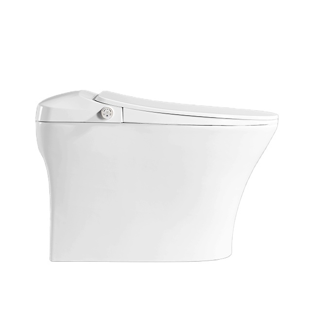 Luxuriöses Design, intelligente, selbstreinigende, intelligente Bidet-Toilette
