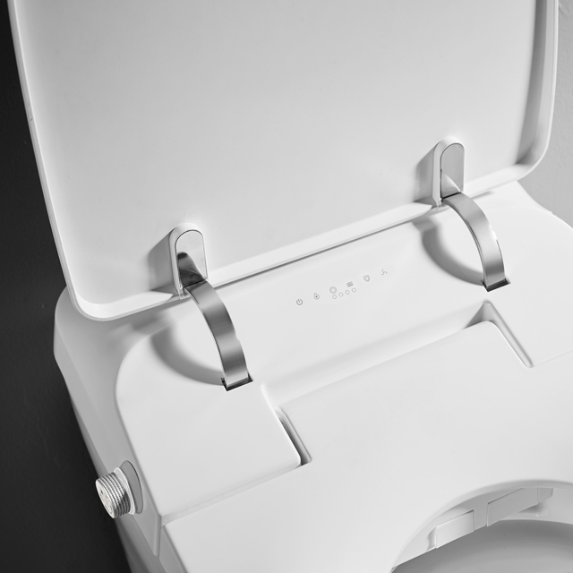 Luxuriöses Design, intelligente, selbstreinigende, intelligente Bidet-Toilette