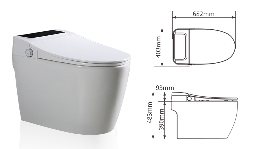 automatic self cleaning toilet
