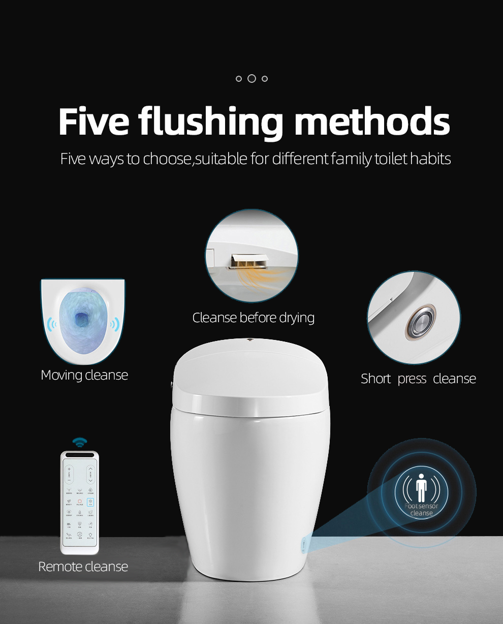 sensor toilet flush