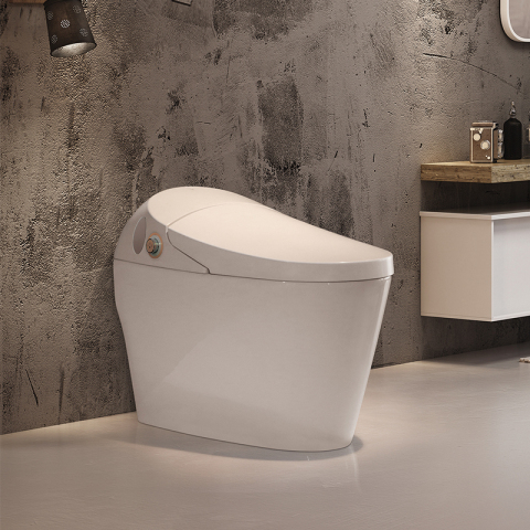 Elegant Automatic Sensor Flush Nozzle Clean Smart Toilet