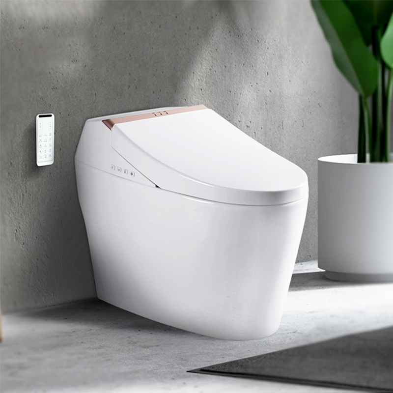 one touch intelligent toilet