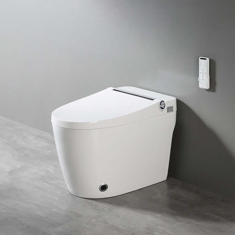 Nachtlicht Automatisches intelligentes beheiztes Sitz-Bidet