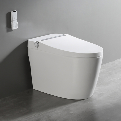 Remote Control Flushing Ladies Intelligent Toilet