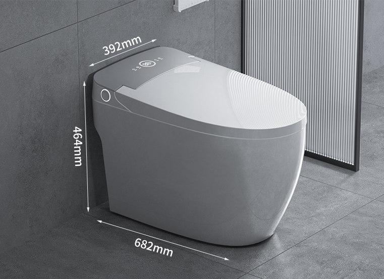 instant heating smart toilet