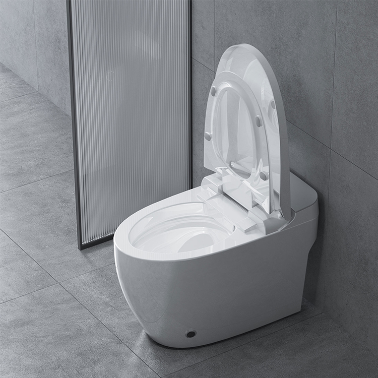 Toilette intelligente télécommandée à une touche LED Night Light