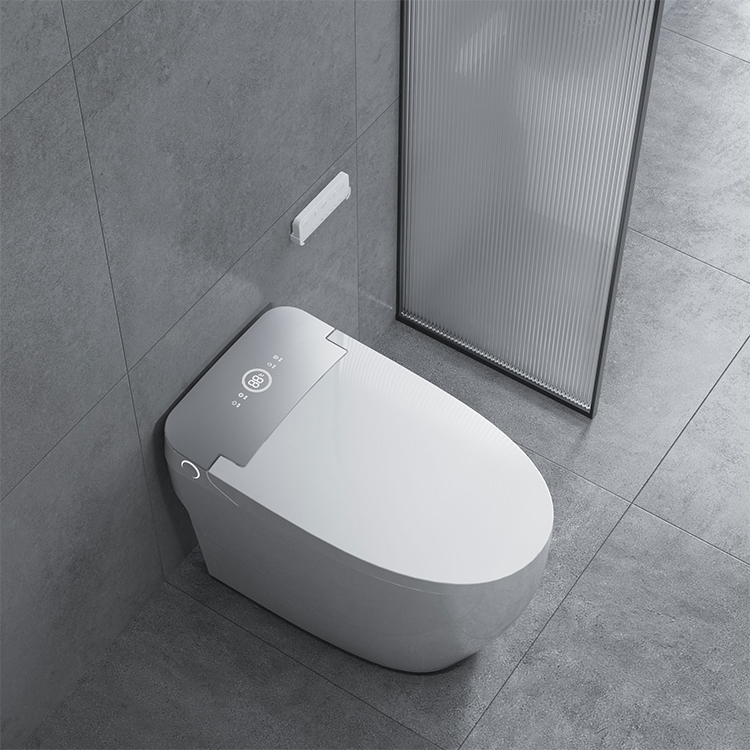 Toilette intelligente télécommandée à une touche LED Night Light