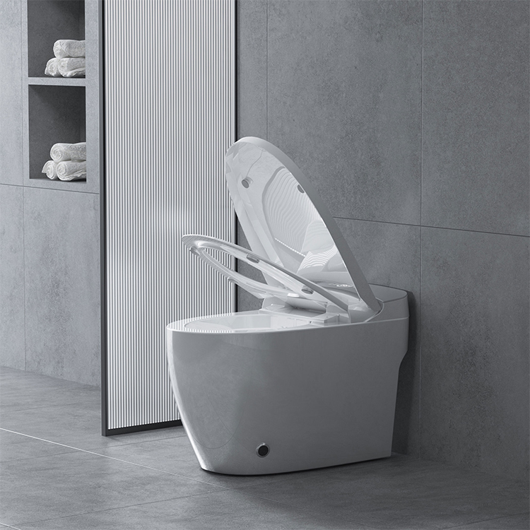 Toilette intelligente télécommandée à une touche LED Night Light