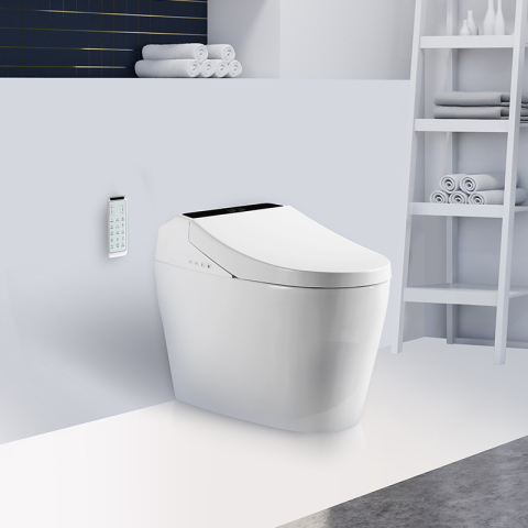 Bathroom Auto Female Cleanse Smart Toilet Bidet